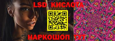 сатива Новокубанск