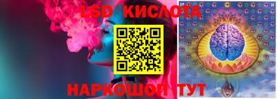 сатива Новокубанск