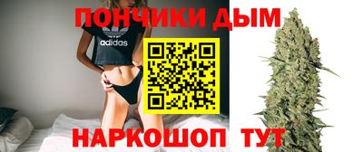 сатива Новокубанск