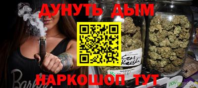 сатива Новокубанск
